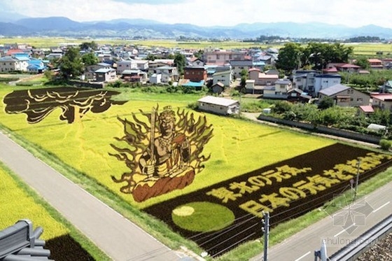 日本田舍館村村民設(shè)計(jì)的巨型稻田插畫藝術(shù)