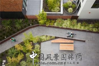 美國加利福尼亞州常春藤社區(qū)住宅景觀設(shè)計(jì)