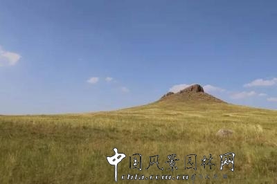 風(fēng)沙中的堅(jiān)強(qiáng)小草——蒙草生態(tài)修復(fù)顯成效
