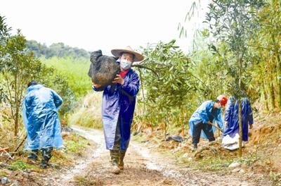 全國各地掀起國土綠化熱潮