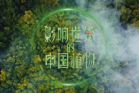 環(huán)境文化產品，再豐富些
