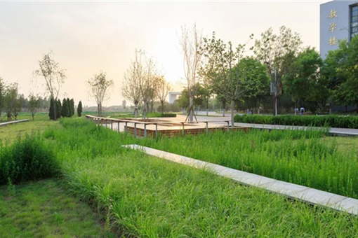 阿普貝思 丨遷安海綿城市建設(shè)成果