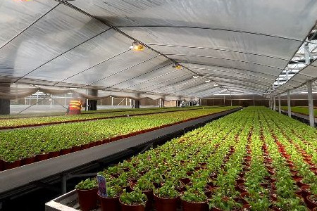 花博會：花卉進入育苗期 靜待五月齊綻放
