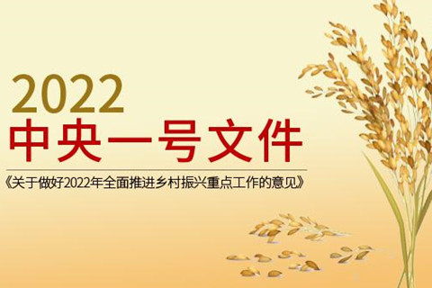 2022一號文件發(fā)布 推進鄉(xiāng)村振興