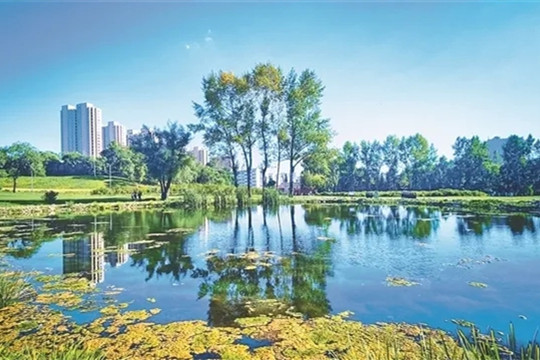 趙兵：結(jié)合市場營銷進(jìn)行公園設(shè)計