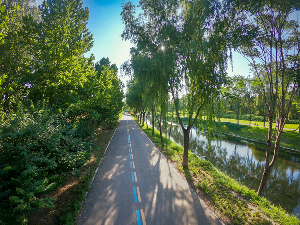北京朝陽打造公園里的城區 52座公園拆墻透綠