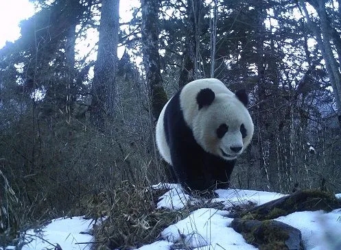 我國獲得第五屆世界生物圈保護區大會承辦權