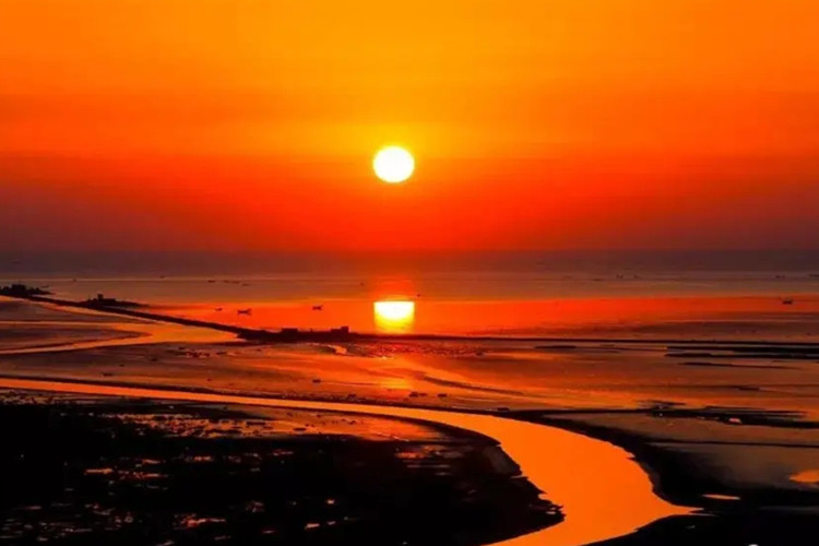 黃河口國家公園正積極爭取盡快設立