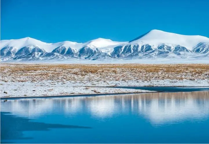 青海省將高標準推進國家公園群建設