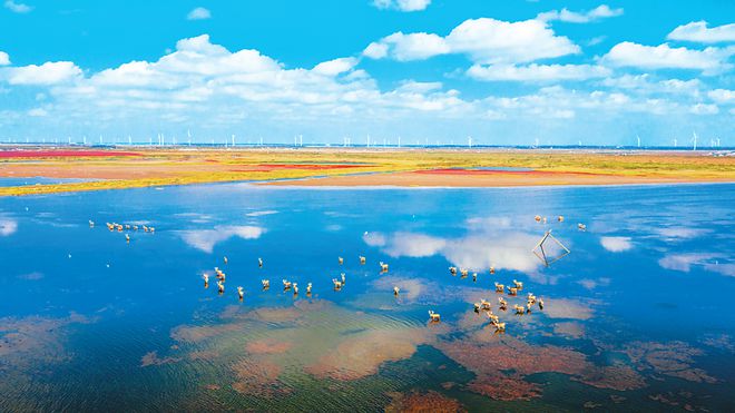 全球濱海論壇研討會舉行