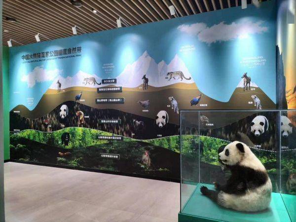 大熊貓國(guó)家公園設(shè)立一周年展在成都開(kāi)展