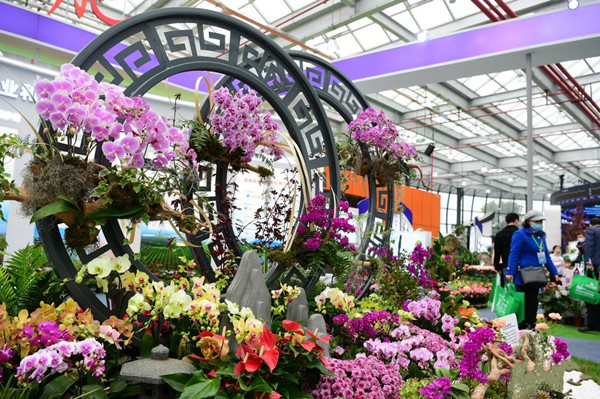 2022中國(guó)·合肥苗木花卉交易大會(huì)開幕
