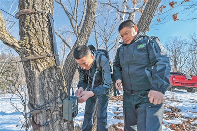 東北虎豹國(guó)家公園:科技守護(hù) 和諧共生