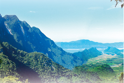 海南熱帶雨林國(guó)家公園:推進(jìn)生態(tài)搬遷修復(fù)雨林生態(tài)