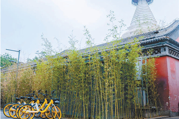 北京：10條背街小巷獲評(píng)今年“最美街巷”