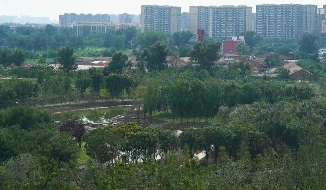 北京：20公頃以上公園擬設(shè)“生態(tài)保育小區(qū)”