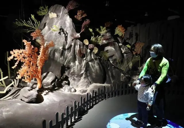 上海辦深海園林展 用中國園林意境講述深海奧秘