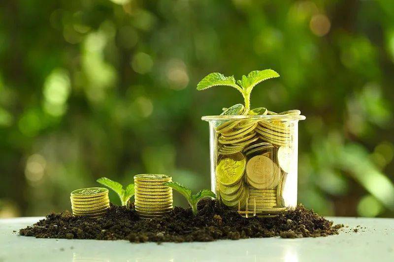 聯合國環境規劃署發布全球自然財政狀況報告