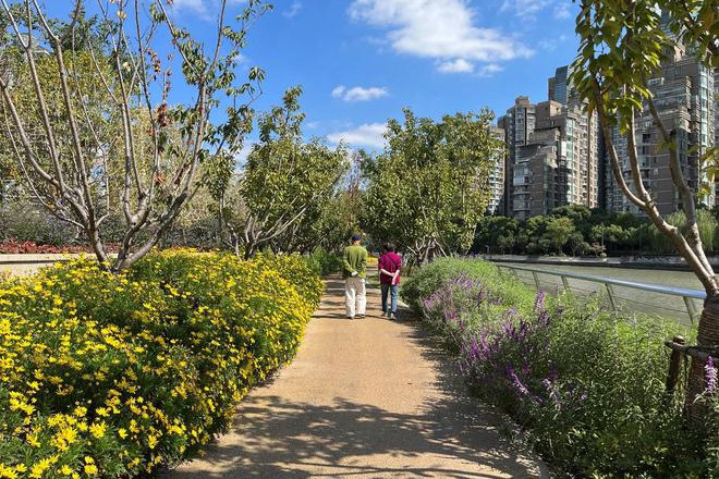 上海新建綠道231.88公里,總長超1500公里