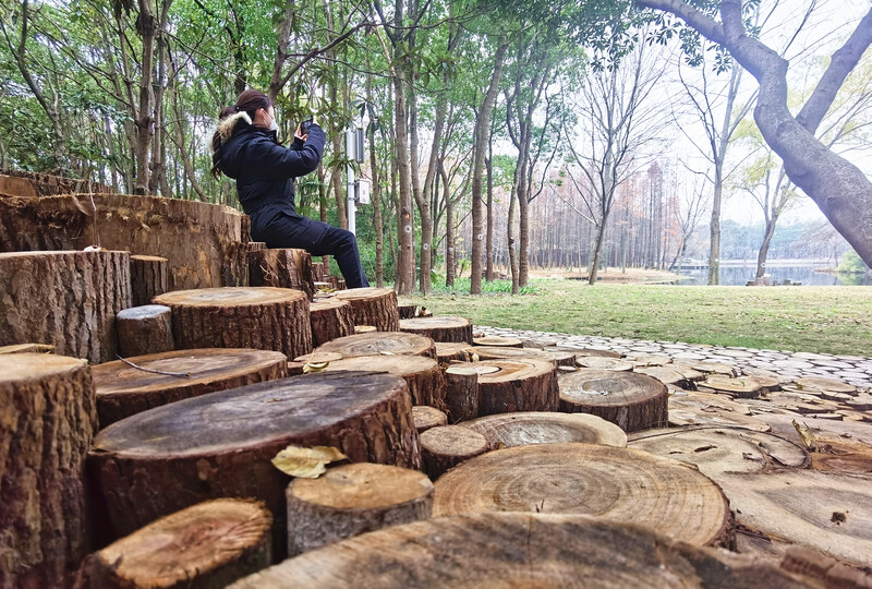 “十四五”末 上海市環上公園將達50座