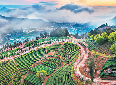 海峽兩岸專家共話鄉村文旅發展