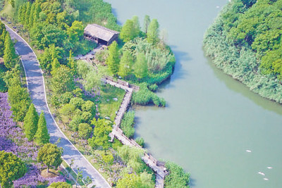 看中國的國際濕地城市如何留住濕地留住美