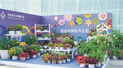 2022年我國花卉出口額創(chuàng)歷史新高