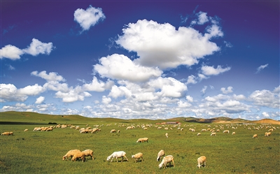 2022年度草原草業(yè)熱點(diǎn)新聞盤點(diǎn)