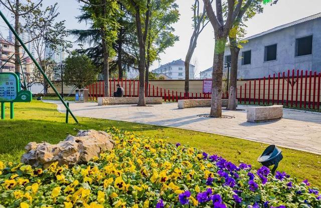 口袋公園怎么建？南京有了“標準答案”