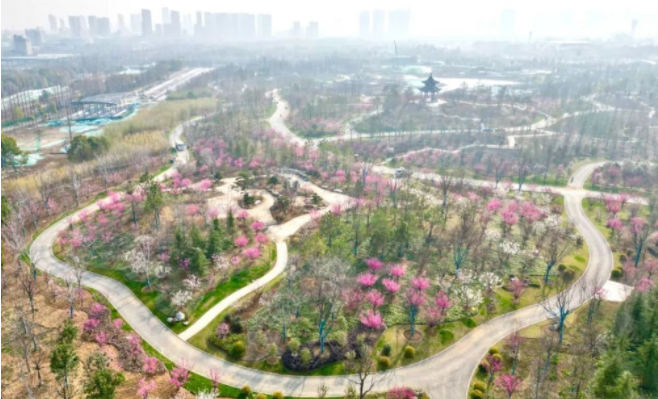 合肥園博會蓄勢待發 合肥特色高標準呈現