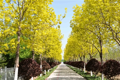 高品質是園林產業高質量發展的核心