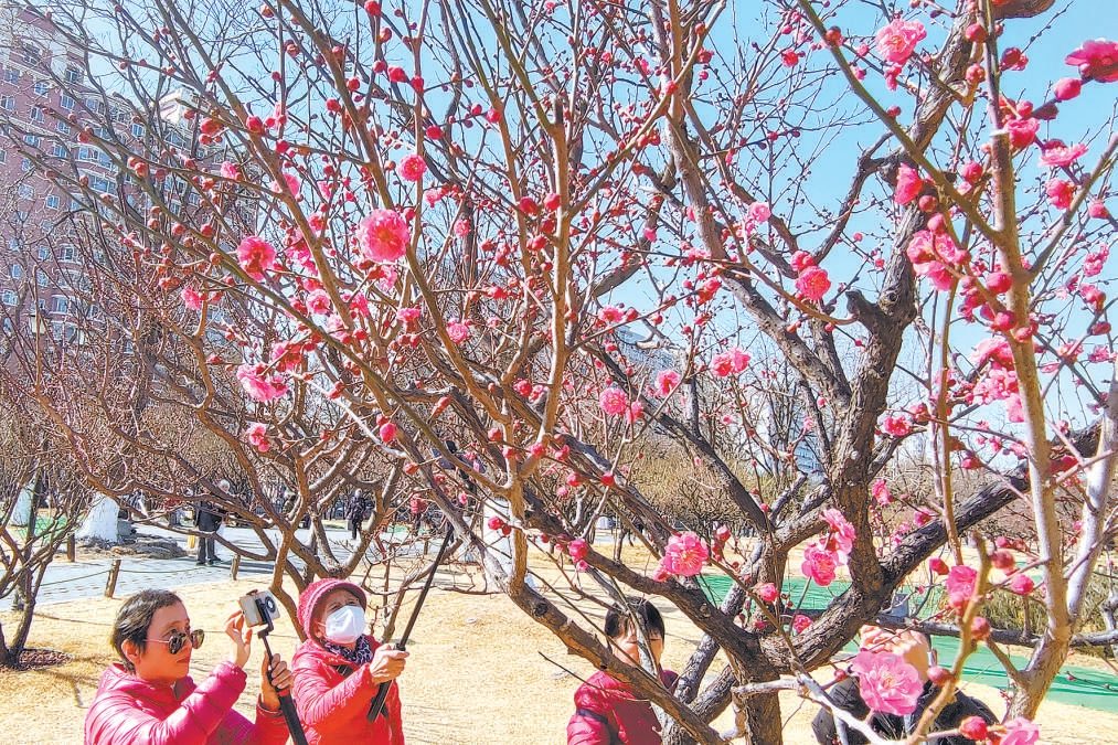 北京：百座無界公園迎來首個(gè)春天