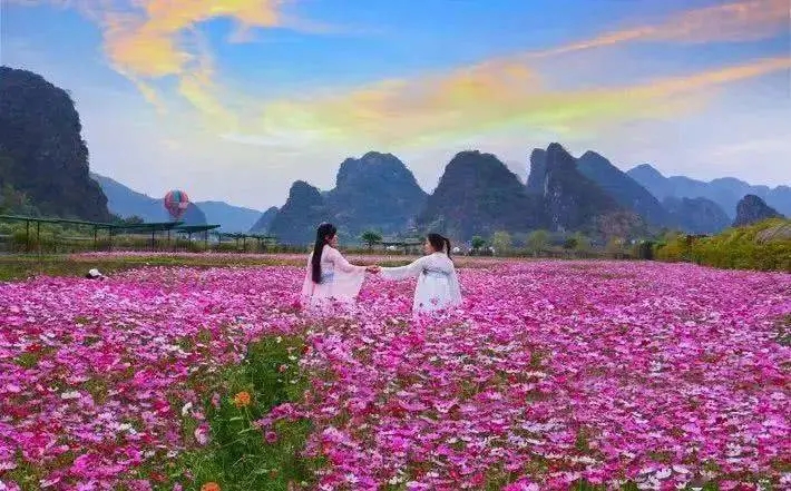 發(fā)展賞花游，還得算好生態(tài)賬