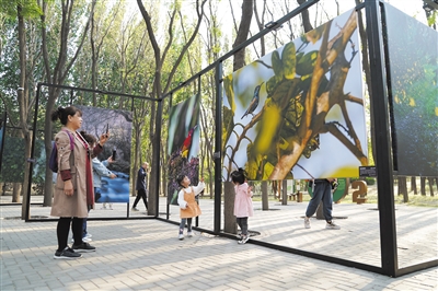 北京朝陽(yáng)打造“公園城市示范區(qū)”