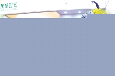 花卉經濟復蘇迎來更多合作發展機遇