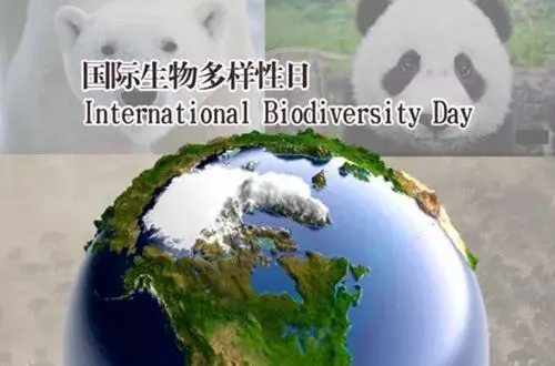為什么要攜手保護生物多樣性？
