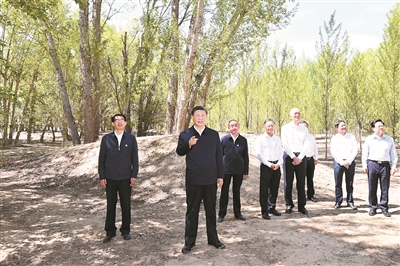 習近平：創(chuàng)造新時代防沙治沙新奇跡