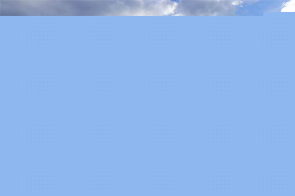 苗栗縣飛牛牧場：牛到飛起的休閑農業牧場