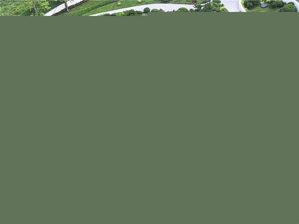 文科園林丨佛山城發·悅城峯境