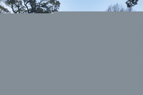 上海：從鋼筋水泥里“摳”出千座公園