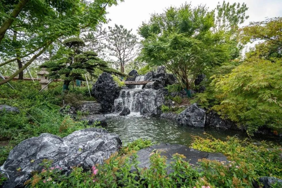 上海世博文化公園“花藝園”完成竣工驗(yàn)收