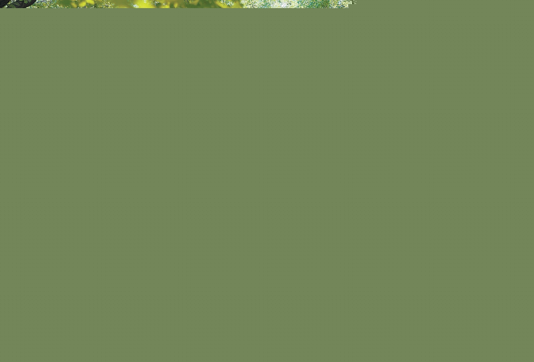北京：天壇公園推出3條清涼路線