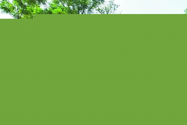 石家莊：31組園林“微景觀”9月底向市民開放