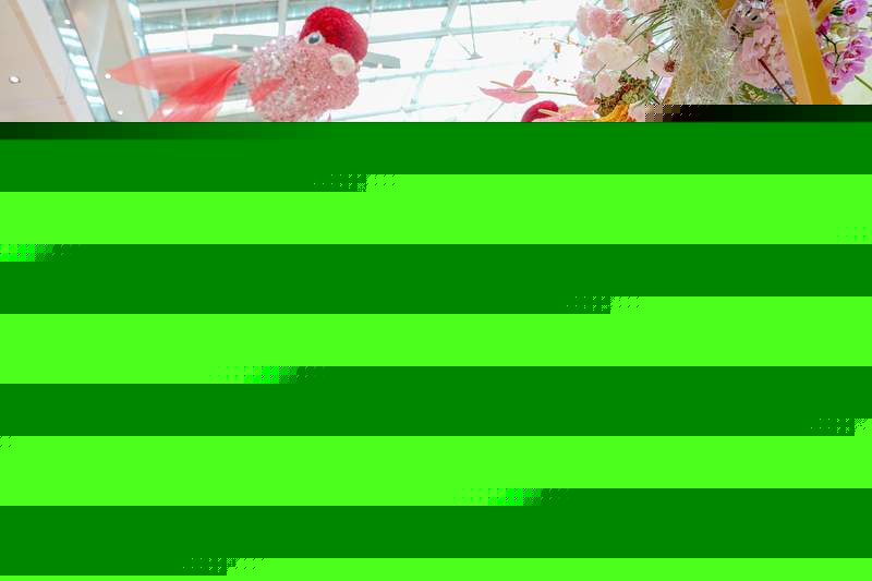 北京西城區將推動商圈景觀改造提升