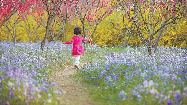 “賞花+”激活北京城市副中心春季文旅消費(fèi)
