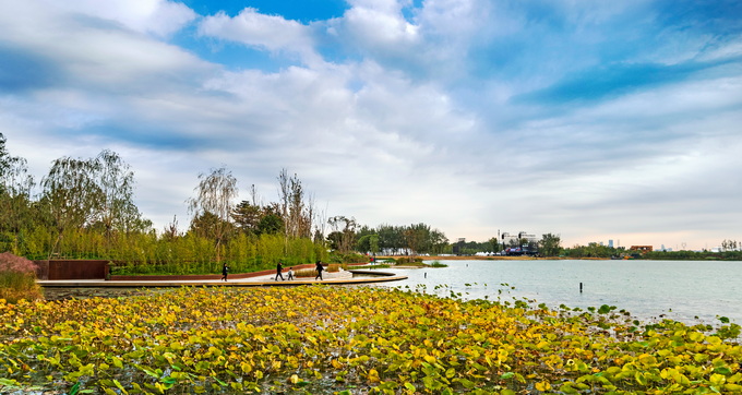 北京溫榆河公園亮出生態(tài)系統(tǒng)家底